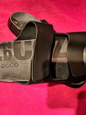 Ecco Black Dual-Strap Slide Sandals